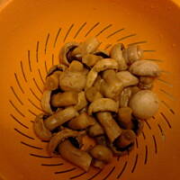 Szybkie marynowane pieczarki do sałatek