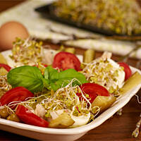 Jajka z makrelą i kiełkami