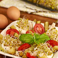 Jajka z makrelą i kiełkami